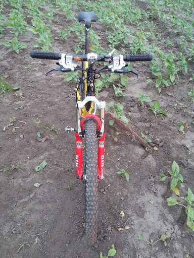 MTB 2021 #799