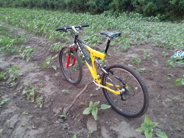MTB 2021 #802