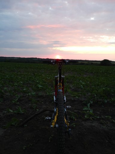 MTB 2021 #805