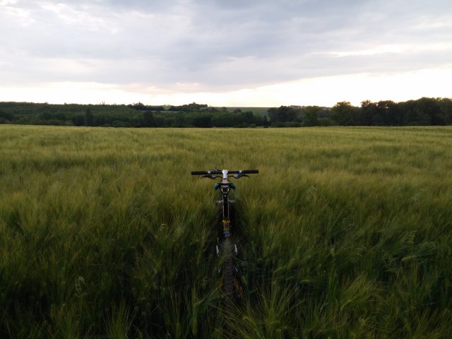 MTB 2021 #849