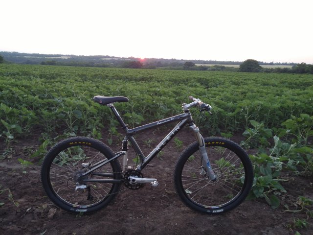 MTB 2021 #905