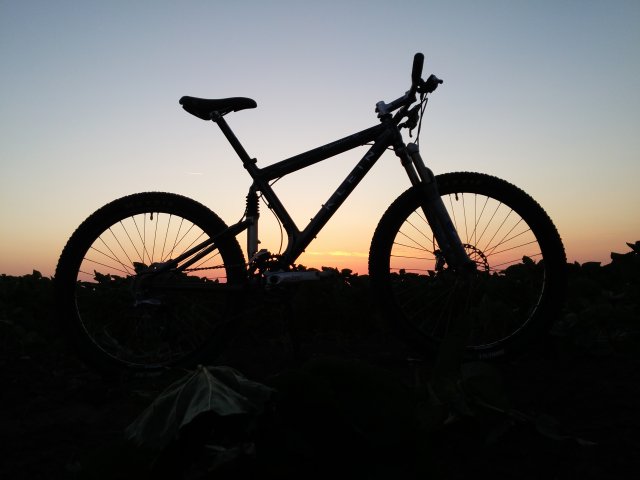 MTB 2021 #911