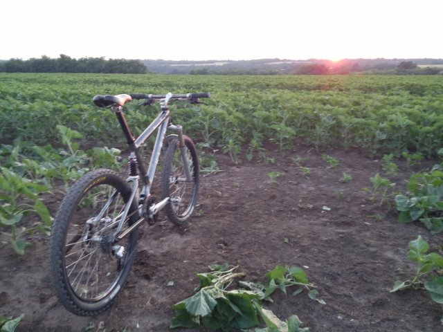 MTB 2021 #923