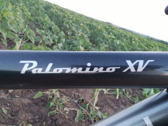 MTB 2021 #931