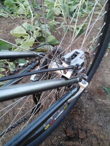 MTB 2021 #951