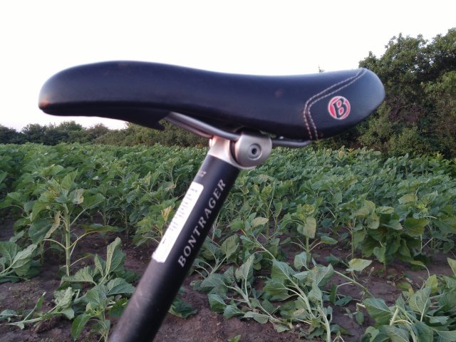 MTB 2021 #952