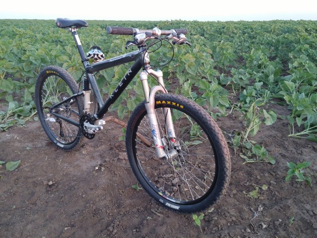 MTB 2021 #956