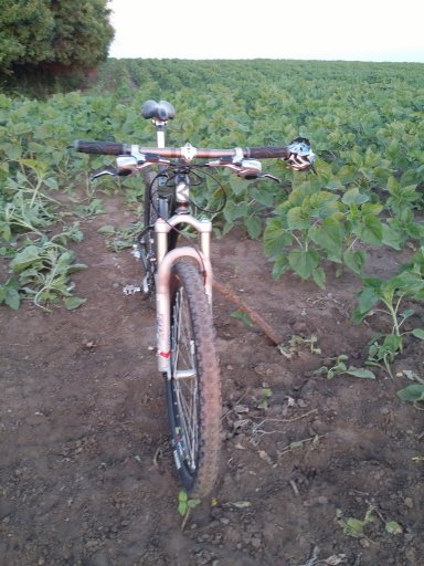 MTB 2021 #957
