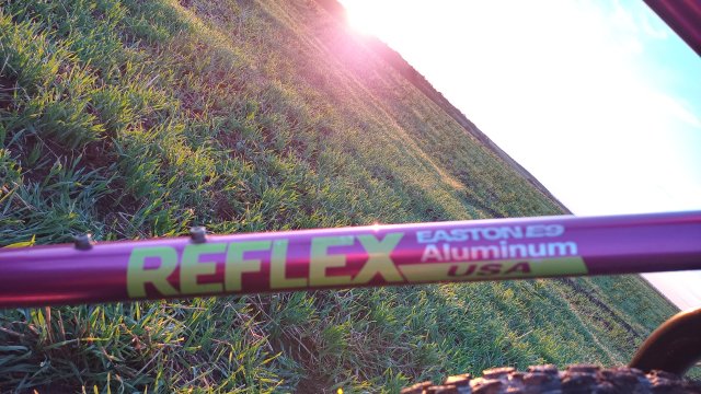Reflex TWX Limited '91 #187