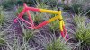 Klein Pinnacle Elite '90-'91 #4