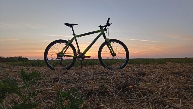 Cannondale F600 SL '04 #166