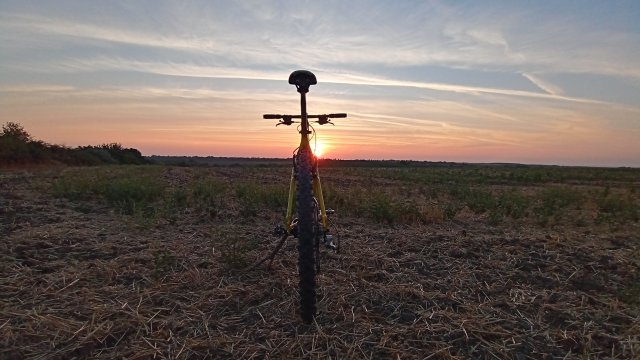 Cannondale F600 SL '04 #178