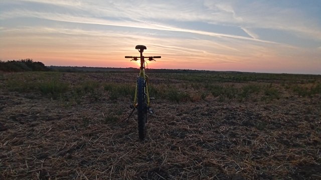 Cannondale F600 SL '04 #179