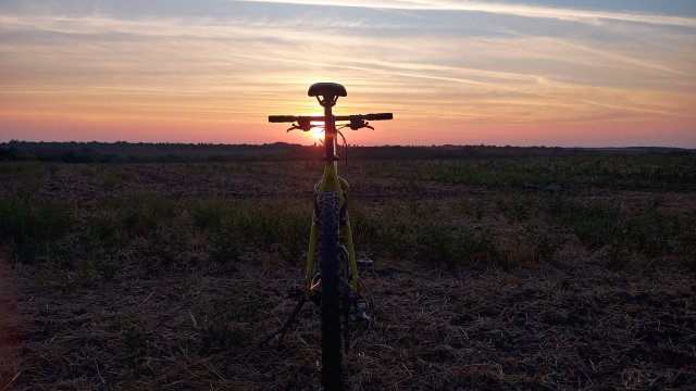 Cannondale F600 SL '04 #180