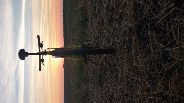 Cannondale F600 SL '04 #181