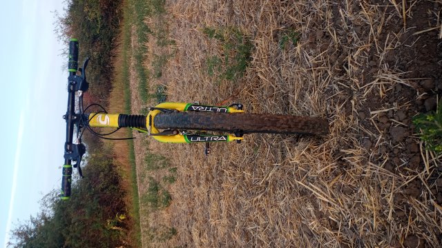 Cannondale F600 SL '04 #187