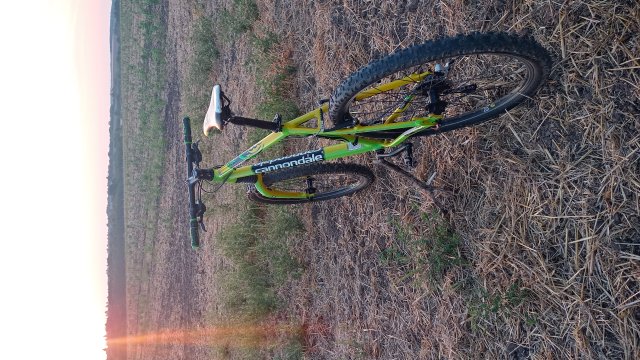 Cannondale F600 SL '04 #197