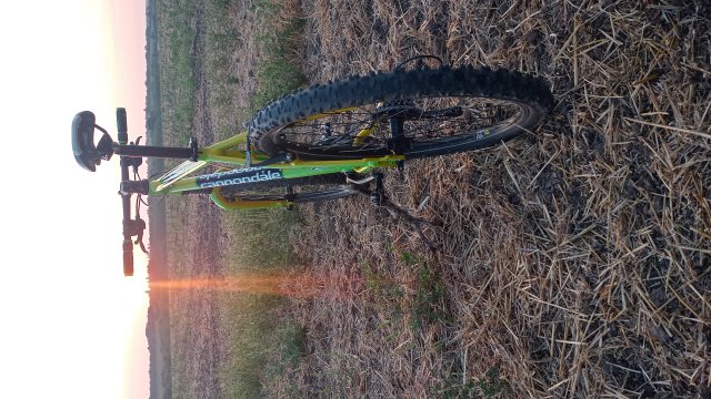 Cannondale F600 SL '04 #199