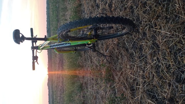 Cannondale F600 SL '04 #200