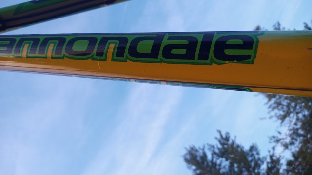 Cannondale F600 SL '04 #230