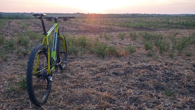 Cannondale F600 SL '04 #250