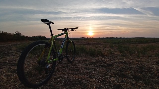 Cannondale F600 SL '04 #252