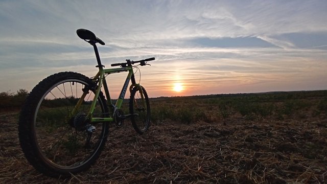 Cannondale F600 SL '04 #253