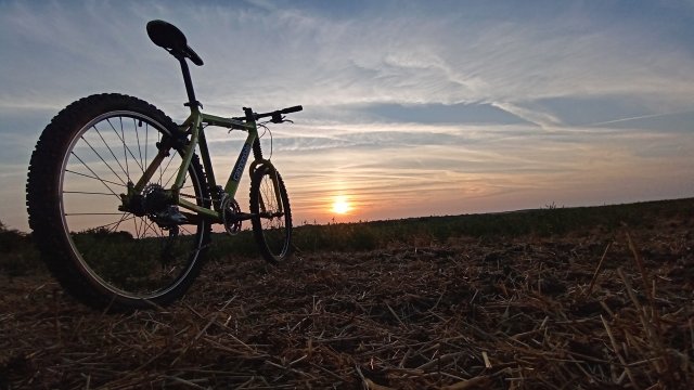 Cannondale F600 SL '04 #255