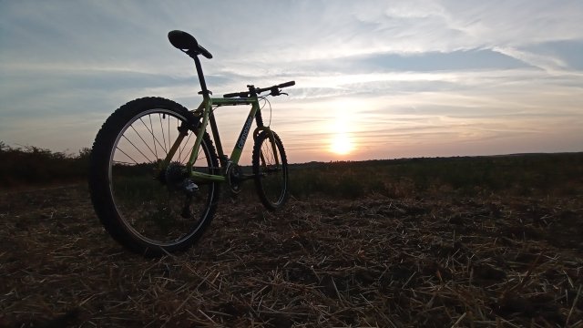 Cannondale F600 SL '04 #256