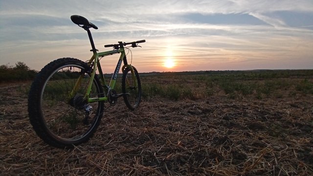 Cannondale F600 SL '04 #257