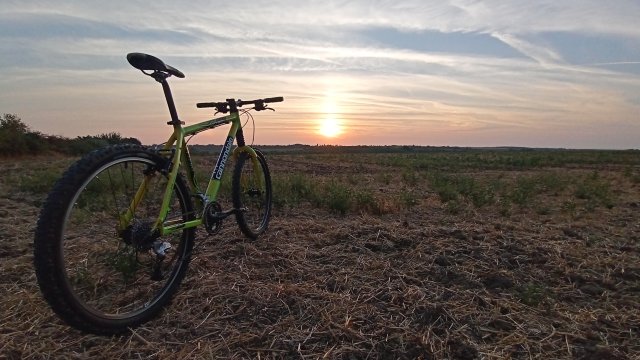 Cannondale F600 SL '04 #258