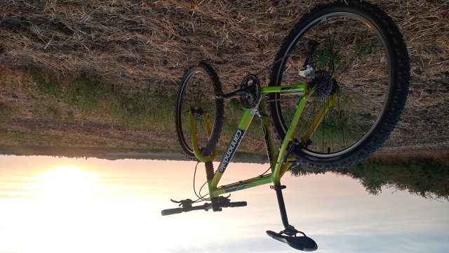 Cannondale F600 SL '04 #259