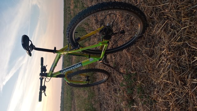 Cannondale F600 SL '04 #260