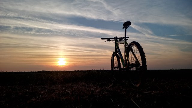 Cannondale F600 SL '04 #265