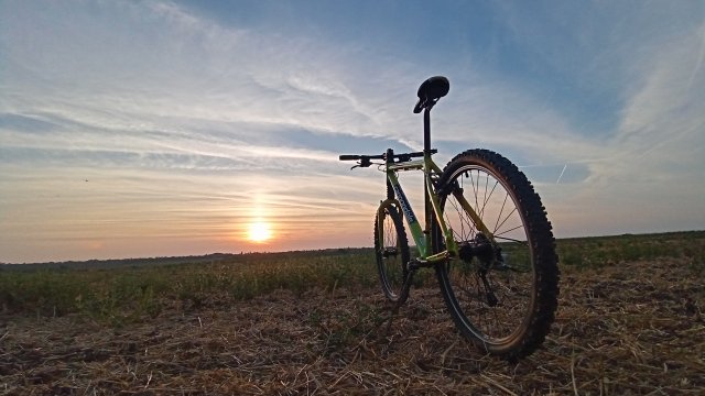 Cannondale F600 SL '04 #266