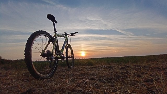 Cannondale F600 SL '04 #268