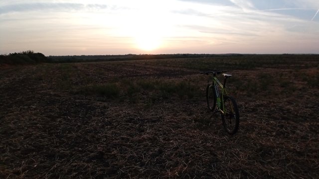 Cannondale F600 SL '04 #270