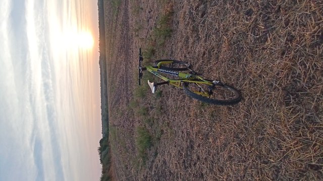 Cannondale F600 SL '04 #272