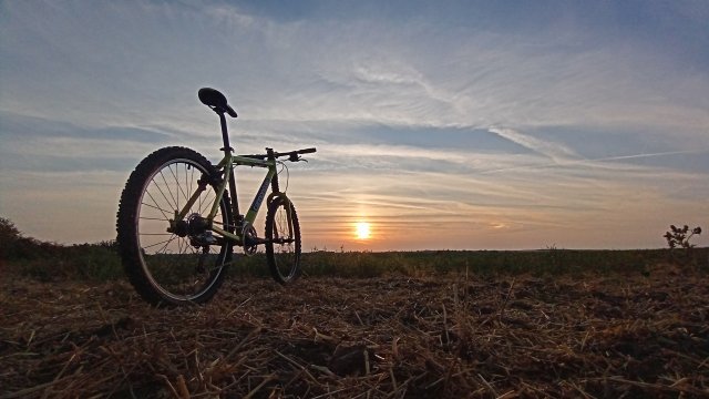 Cannondale F600 SL '04 #273