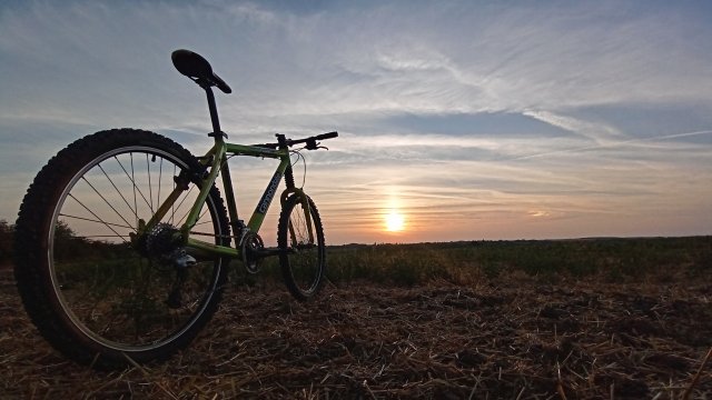 Cannondale F600 SL '04 #275