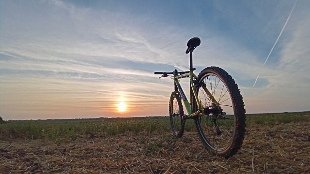 Cannondale F600 SL '04 #276