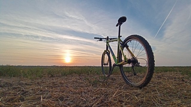 Cannondale F600 SL '04 #277