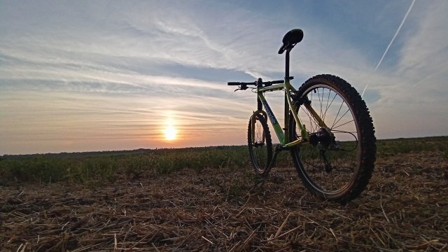 Cannondale F600 SL '04 #278