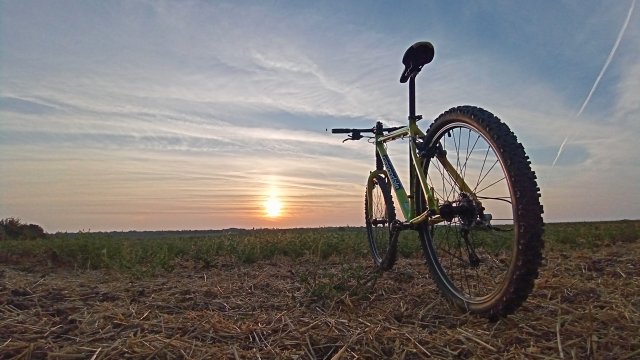 Cannondale F600 SL '04 #279