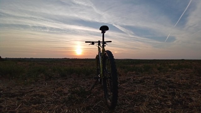 Cannondale F600 SL '04 #280