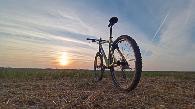 Cannondale F600 SL '04 #281