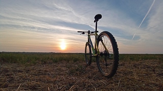 Cannondale F600 SL '04 #282