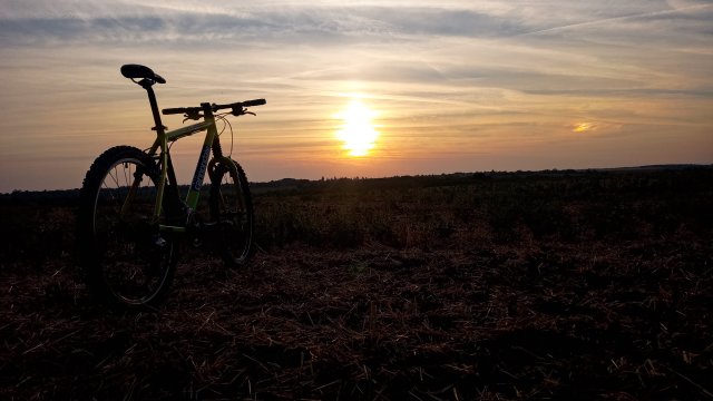 Cannondale F600 SL '04 #284