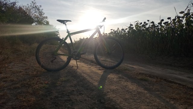 Cannondale F600 SL '04 #306