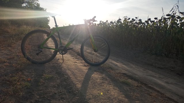 Cannondale F600 SL '04 #307